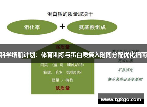 科学增肌计划：体育训练与蛋白质摄入时间分配优化指南