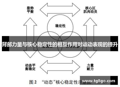 背部力量与核心稳定性的相互作用对运动表现的提升