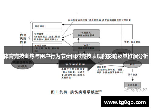 体育竞技训练与用户行为节奏图对竞技表现的影响及其推演分析